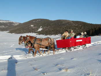 15 Passenger Bob Sled