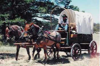 Covered Wagon