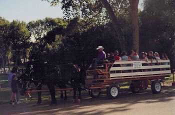 Hay Wagon