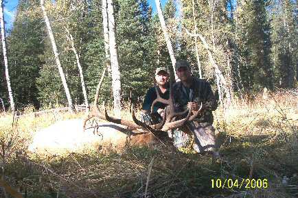 Hoffman elk
