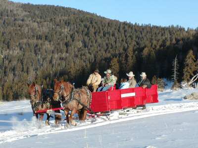 Deep Snow Winter Sleigh Ride.