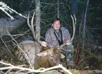 Tom King`s elk