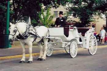 Wedding Carriage