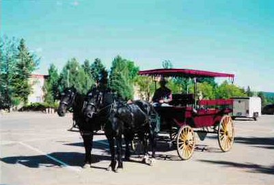 Carriage