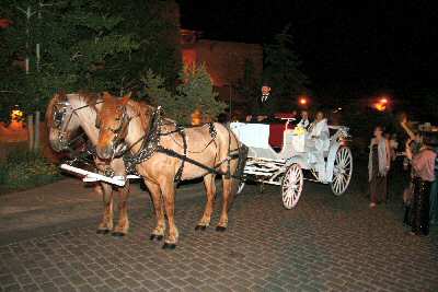 Wedding Carriage