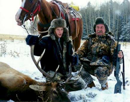 bull elk