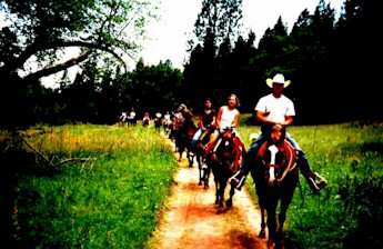 The Trail Ride