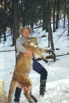 The end of a long mountain lion chase.